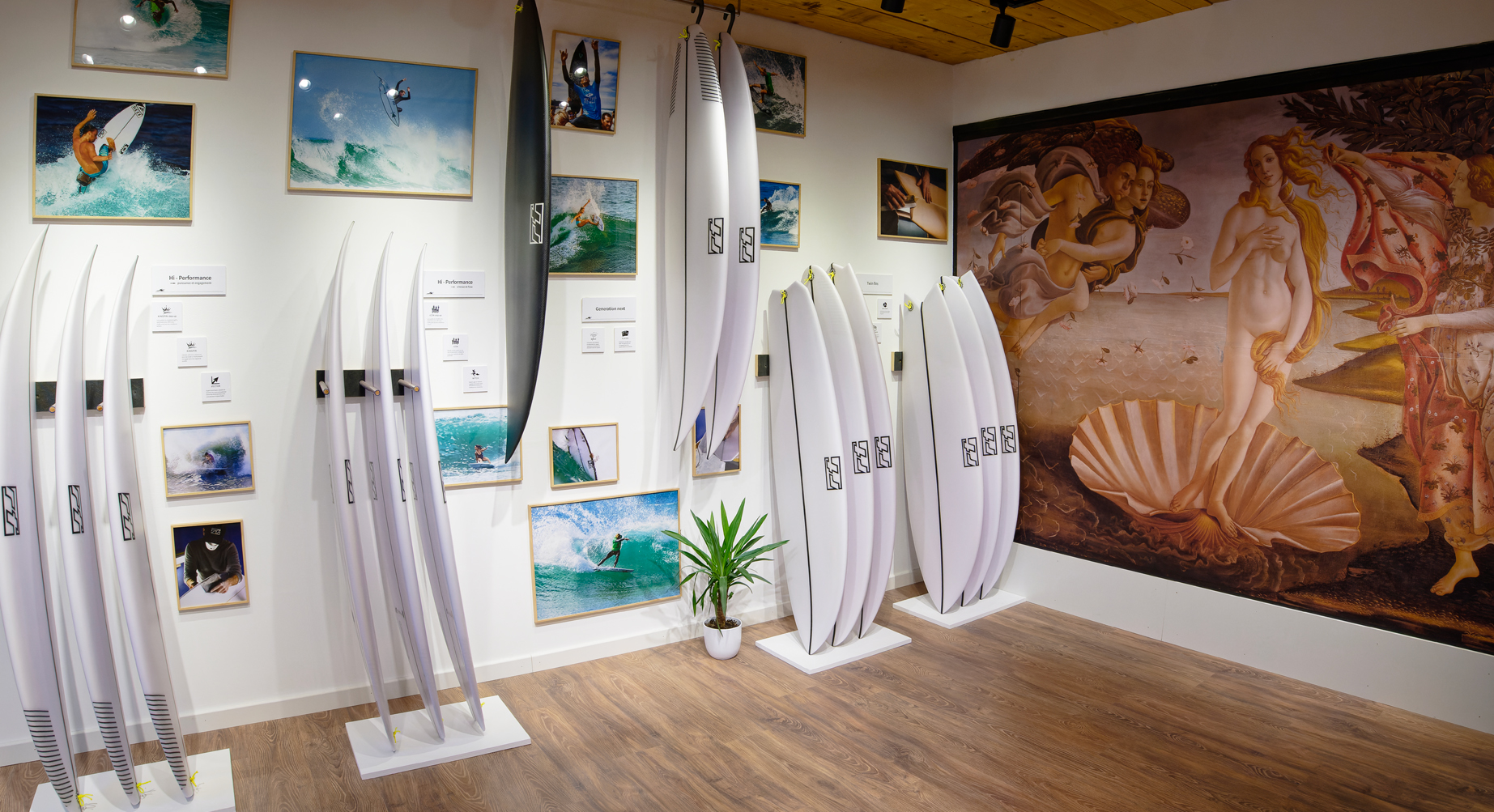 boutiques rt surfboards